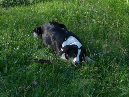 2021_WestGames 2 013.jpg